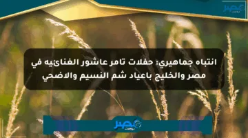 انتباه جماهيري: حفلات تامر عاشور الغنائية في مصر والخليج بأعياد شم النسيم والأضحى